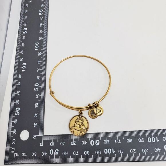 Disney X Alex & Ani Beauty and the Beast Charm Bracelet - Picture 12 of 15